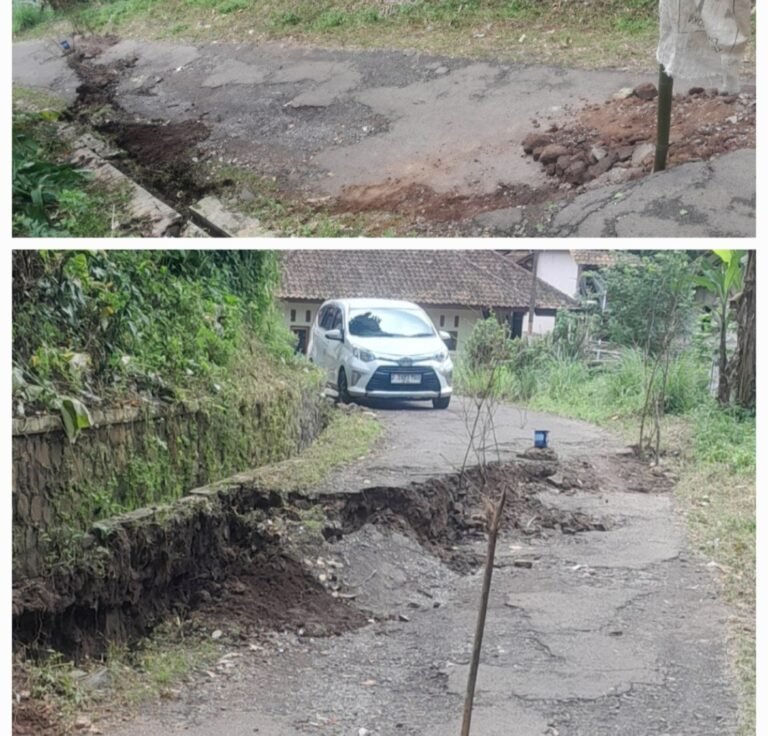 Screenshot_20260204_011015_Gallery