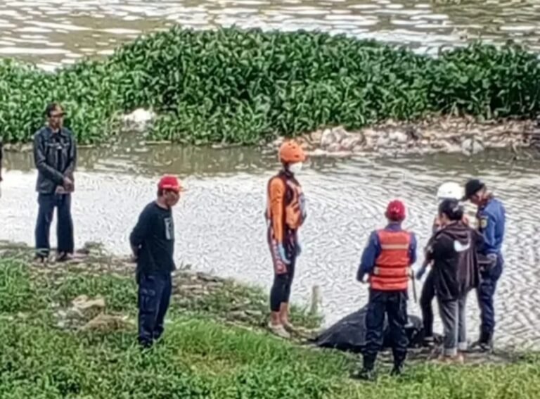 Screenshot_20260206_122256_WhatsAppBusiness