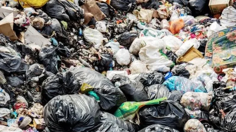 full_1771658782940620_f43f9d3d4d_berita_singaraja